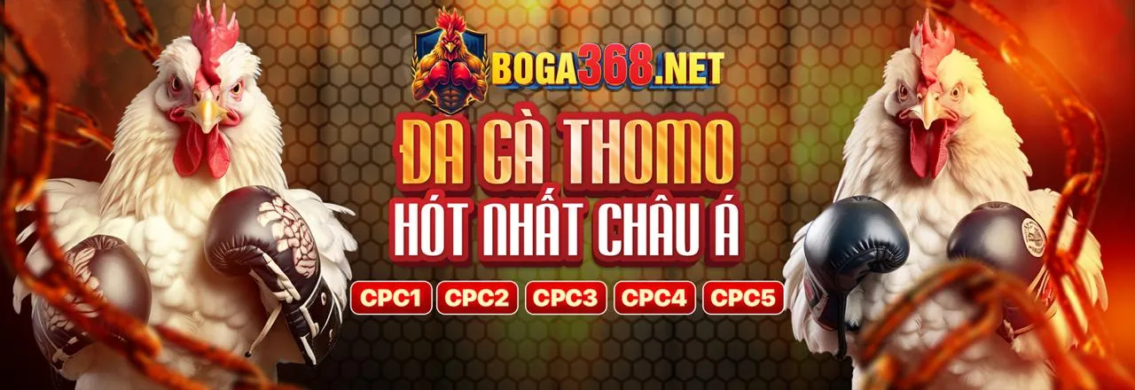 Đá gà trực tuyến hbet code 2026 với ưu đãi hấp dẫn