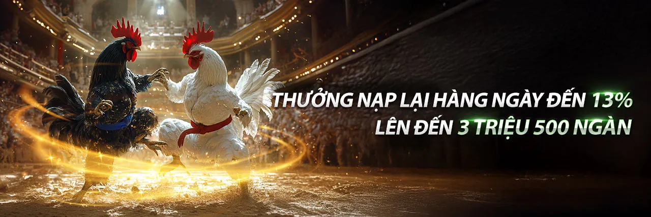 Sân vận động với ánh đèn rực rỡ và người hâm mộ cuồng nhiệt, thể hiện tinh thần cá cược thể thao đỉnh cao tại hbet code.