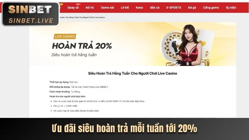 Trải nghiệm casino trực tuyến hbet code